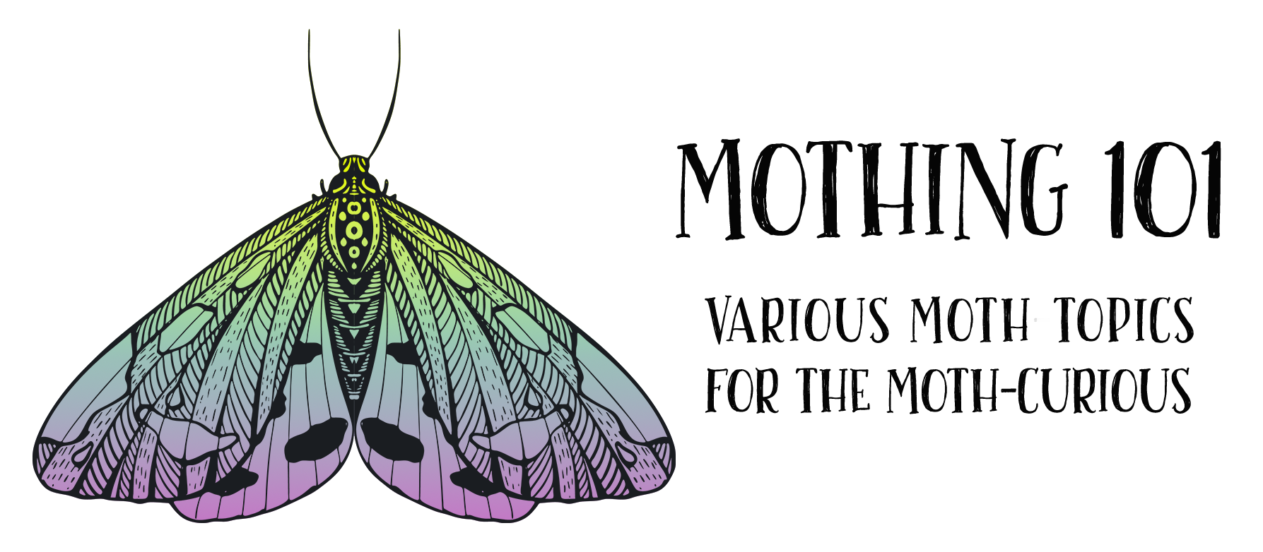 Welcome to Mothing 101: A Very Basic Primer for the Moth-Curious