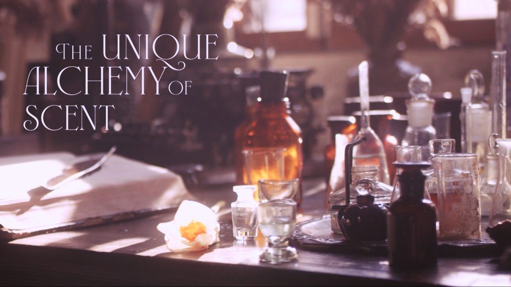 Photo of a table with jars, bottles, and books backlit by a window, in pink and brown tones.
